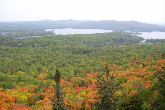 100_0636.jpg